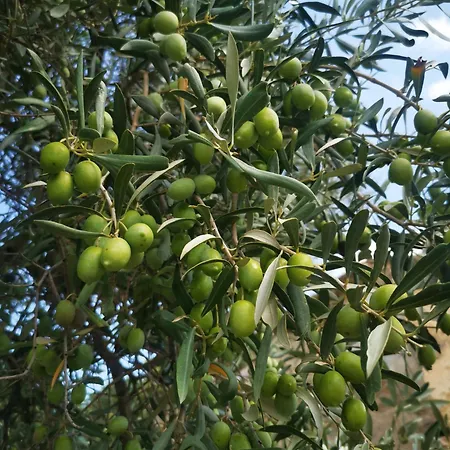 Piccolo Paradiso Crotone 3*